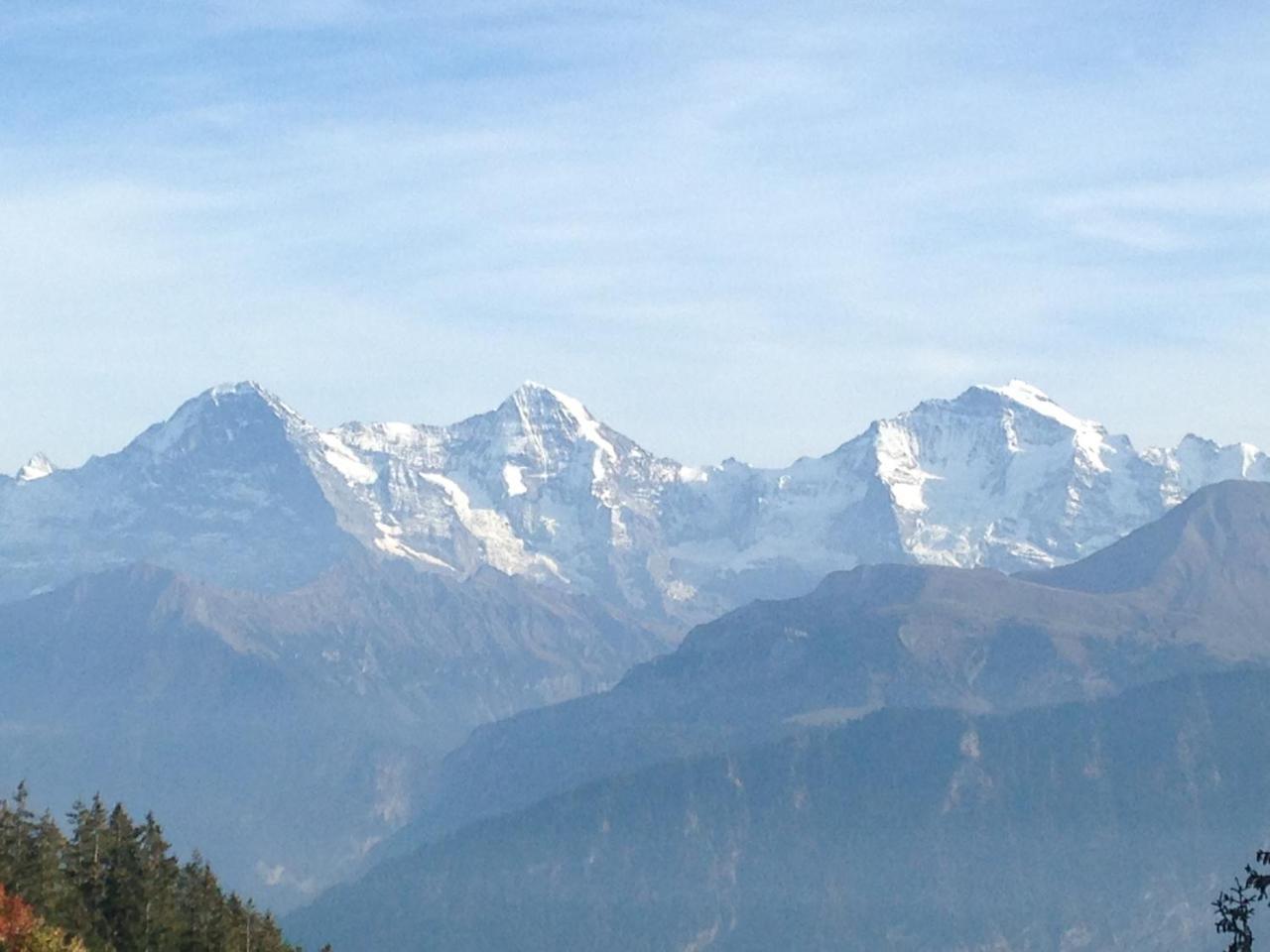 بيتنبرغ Swiss Seeblick Apartment Mit Hotelanbindung المظهر الخارجي الصورة